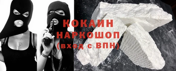 прущие грибы Абинск